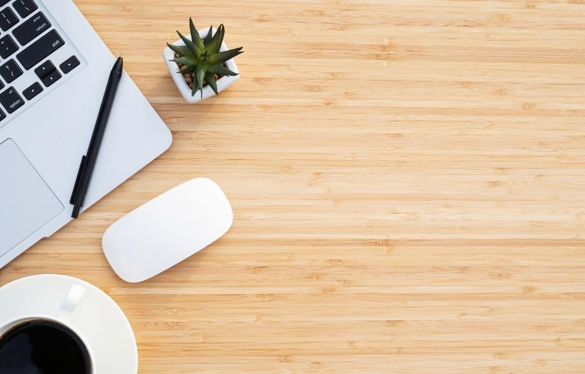 Work from home jobs no experience needed